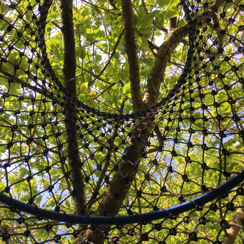 The mesh leaves the&nbsp;studio